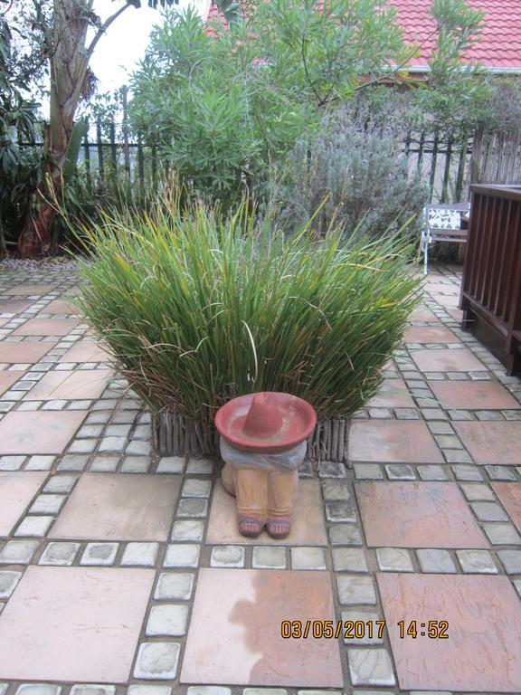 Twilight Cottage Plettenberg Bay Exterior foto